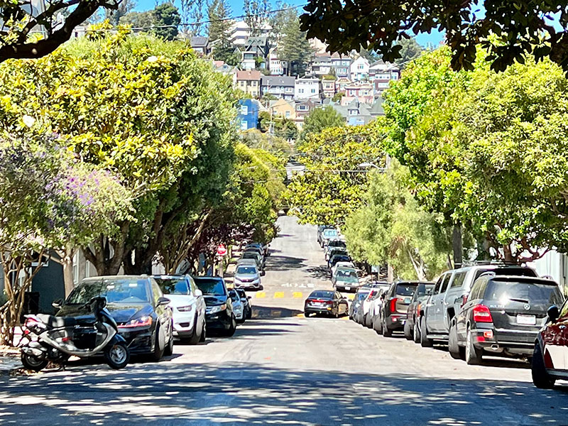 Cole Valley Road