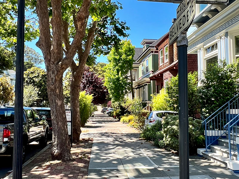 Cole Valley Suburbs